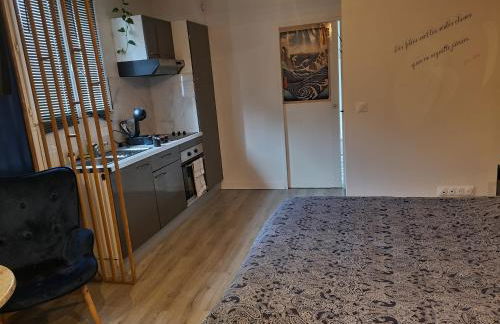 Sauna & Détente - Suite Privée - Tours - Netflix - Foto 22