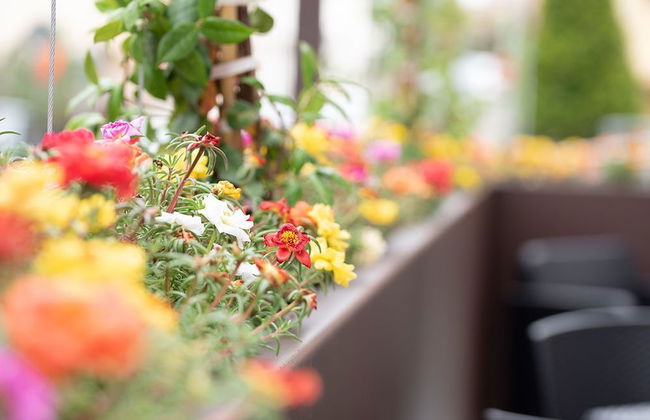 Casa Ercoli - Foto 44