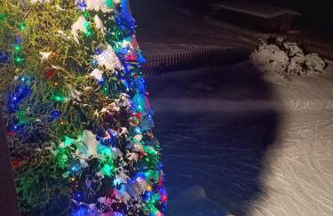 Dom W Krokusach Pokoje Gościnne - Foto 21