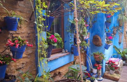 El patio azul Bohemio Mágico - Foto 26