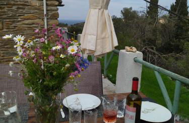 Andros Trecking Paradise Holiday Cottage by "elite" - Foto 9