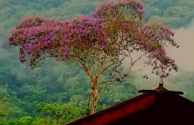 La Luciole Ecolodge - Foto 55