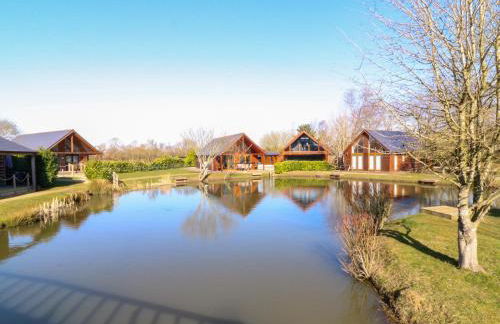 The Green Monkey - Foto 37