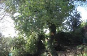 La Rose et Le Loup Gîte Éco-vintage - Foto 21