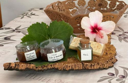 Lugar das Andorinhas - Foto 12