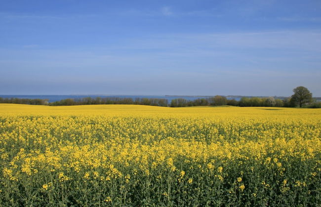 Arresting Apartment near Sea in Klütz - Foto 19
