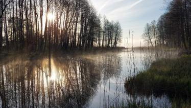Łosiówka Domek nad Sapiną - Foto 3