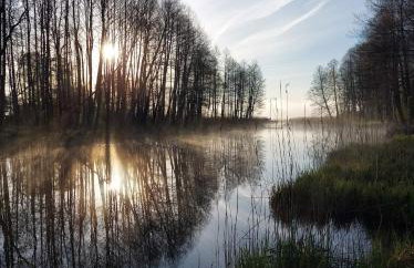 Łosiówka Domek nad Sapiną - Foto 3