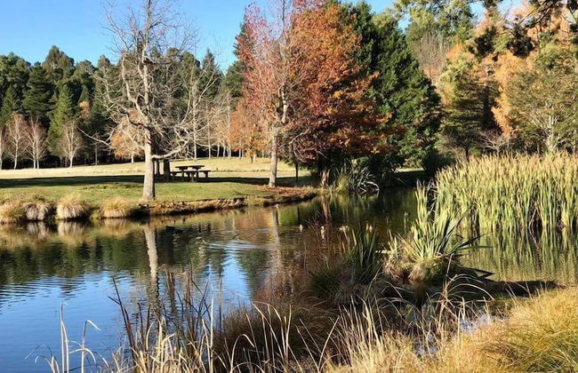 Hanmer Apartments - Photo 43