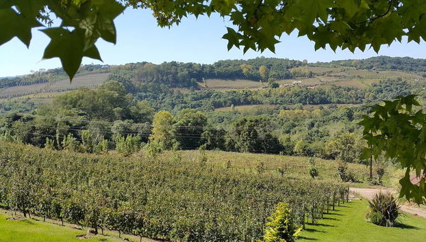 Paesaggi di Vale dos Vinhedos a Bento Gonçalves