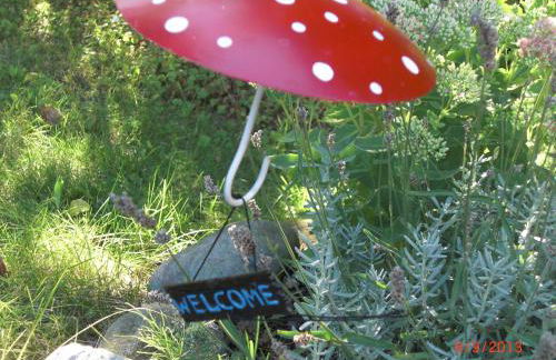 Ferienwohnung Kluge - Foto 30