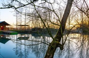 Arcadia Safari Tent in private 5 acre field - Foto 9