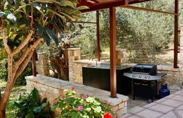 Oliveto e mare - Foto 11