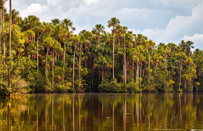 Trilha pela selva + Lago Sandoval - Foto 1