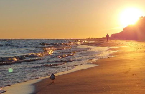 Gorgeous Home In Kolobrzeg With Sauna - Foto 20