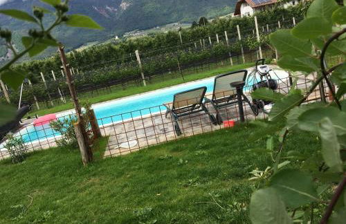 Lochererhof - Foto 12