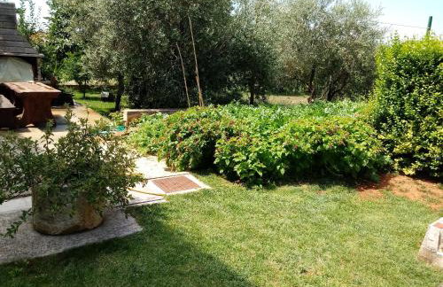 Apartment Violeta - Foto 22