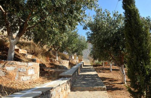 Hydra Erato - Foto 51