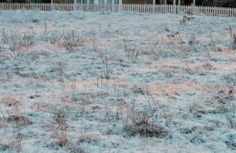Zielony domek nad Marychą w Budwieć - Foto 13