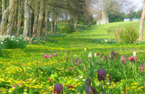 Shepherd's Hut - Foto 9