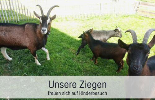 Bauernhof Finkel - Ferienwohnungen mit Balkon - Bergsicht - Traktor mitfahren - Tiere streicheln - entspannter Familienurlaub - zentrale Lage nahe Oberstdorf - Foto 64