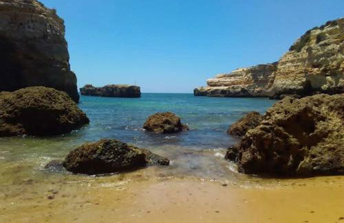 Jardim Paraiso Apartments - Foto 74