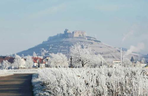 Am Wiiwegli Comfortable holiday residence - Foto 24