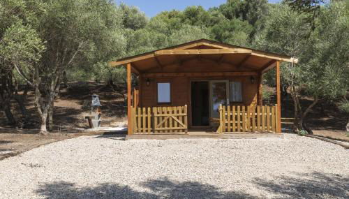 Finca Florida - Foto 5