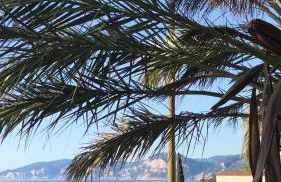 Casa Lido zia Frankie - Foto 1