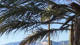 Casa Lido zia Frankie - Foto 1