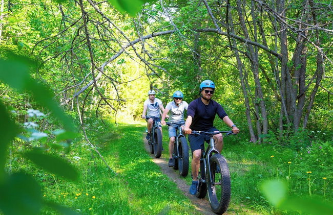 Nallikari Seaside Cottages - Foto 31