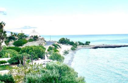 BAY DIVINO - Foto 45