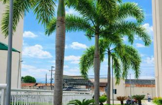 Apto1 - Próximo ao Shopping Metrópole - Photo 2