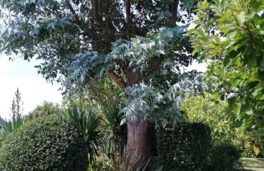 Villa "Keryoc'h" - Foto 12