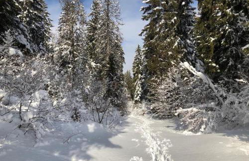 Appartement Daria - Foto 13