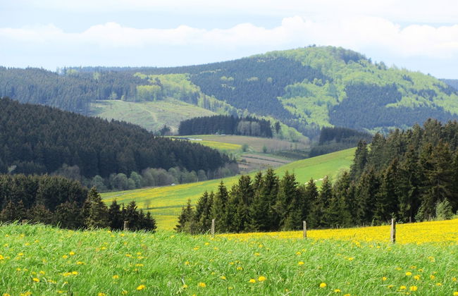 Serene Villa in Kstelberg near Lake & Watersports - Photo 29