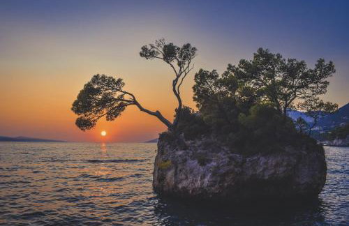 Villa Milena with heated pool and jacuzzi - Photo 74