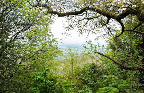 Little Hollows Glamping - Foto 60