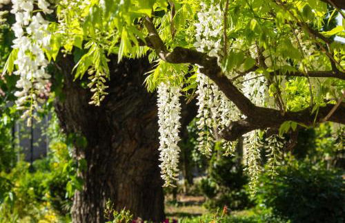 Alba Morus - Photo 36