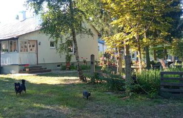 Augustówka - letnisko na Wrzosowiskach - Foto 41