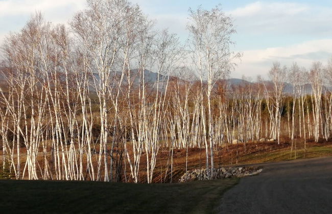 Les Trois Mentors Ghandi, Mandela, Luther King - Foto 29