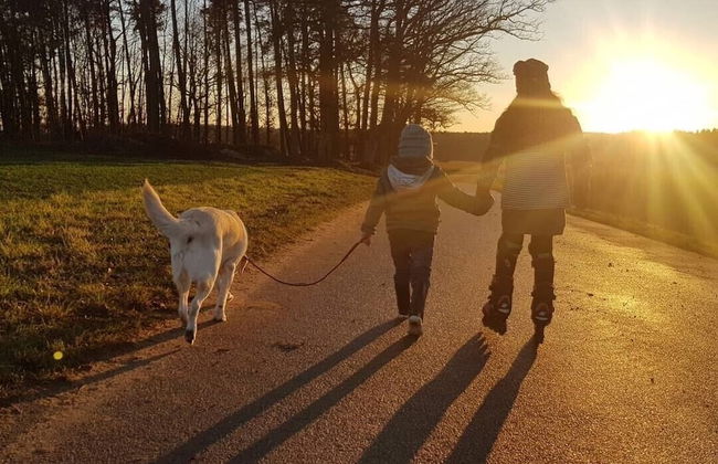 Ferienhof Eichenberg - Foto 57