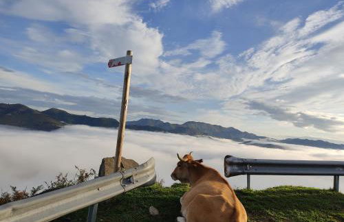 Ñeros de Següencu - Foto 75