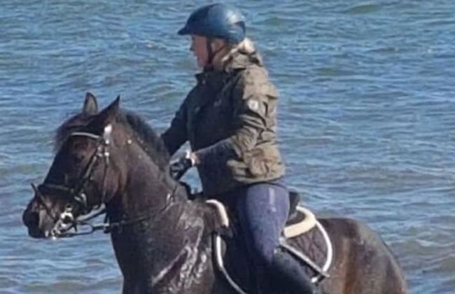 Siems Modern Retreat - Foto 17