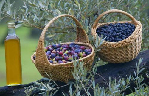 le lavandin - Foto 23