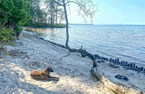 Cozy Home In Warnoleka With Wifi - Foto 31