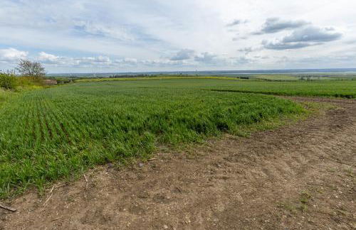 IRO Properties Limited - Foto 36