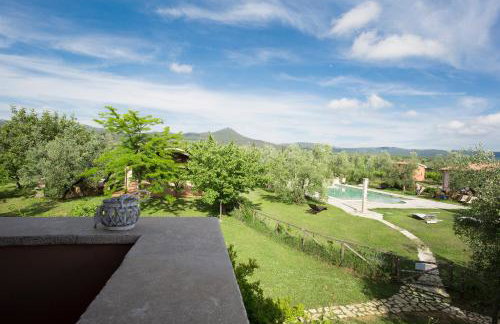 Agriturismo Tra gli Ulivi, Chiappini Winery - Photo 10