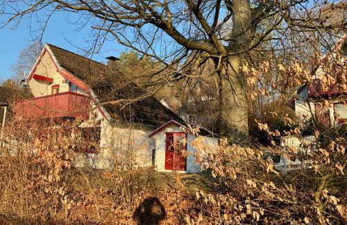 Idylle Seepark - Haus mit Pool und Fasssauna - Photo 30