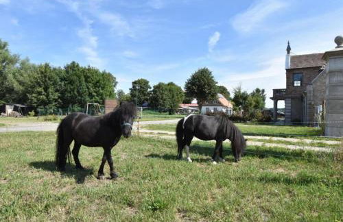 Gutshof Detershagen L - Foto 32